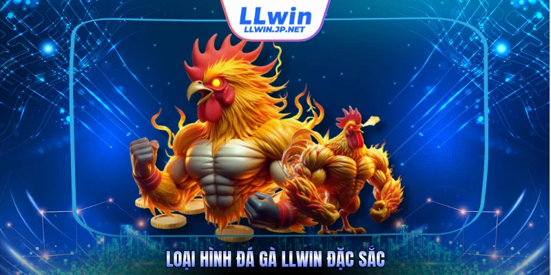 Loại hình đá gà LLWIN đặc sắc